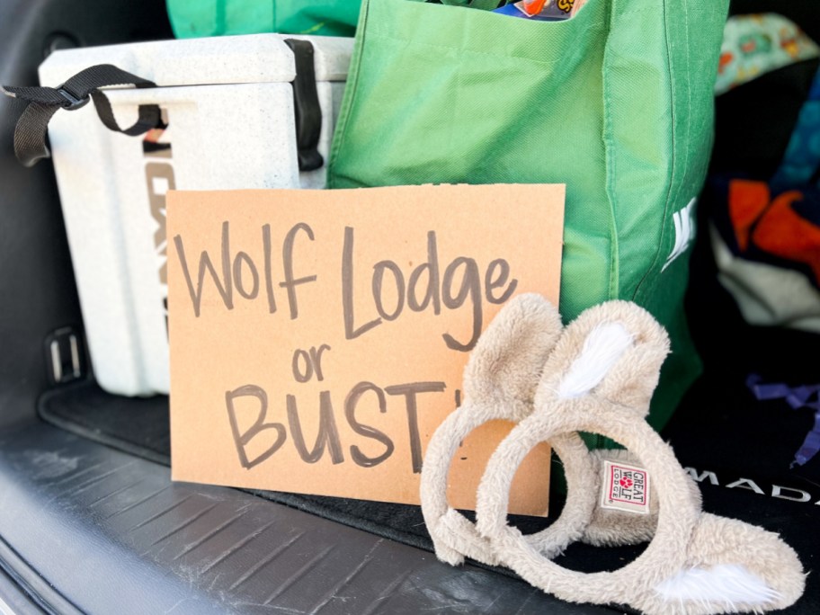 Great Wolf Lodge Resort Stay – 2 Nights