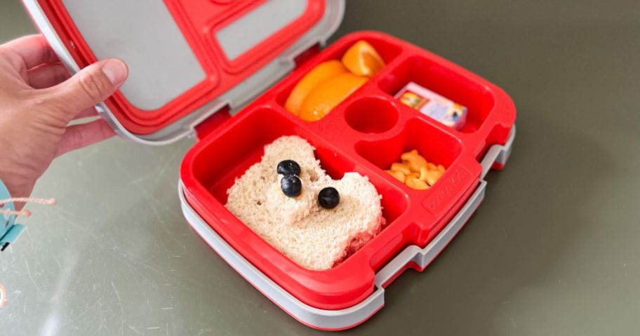 cute wold sandwich creation in bento box