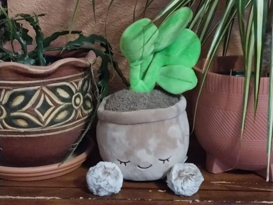 A succulent plush toy