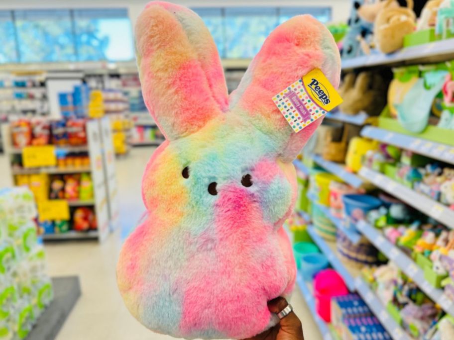 Hand holding a fluffy rainbow Peeps Plush