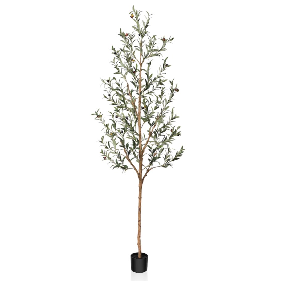 stock photo of faux olive tree