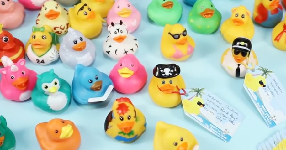 assortment of rubber ducks