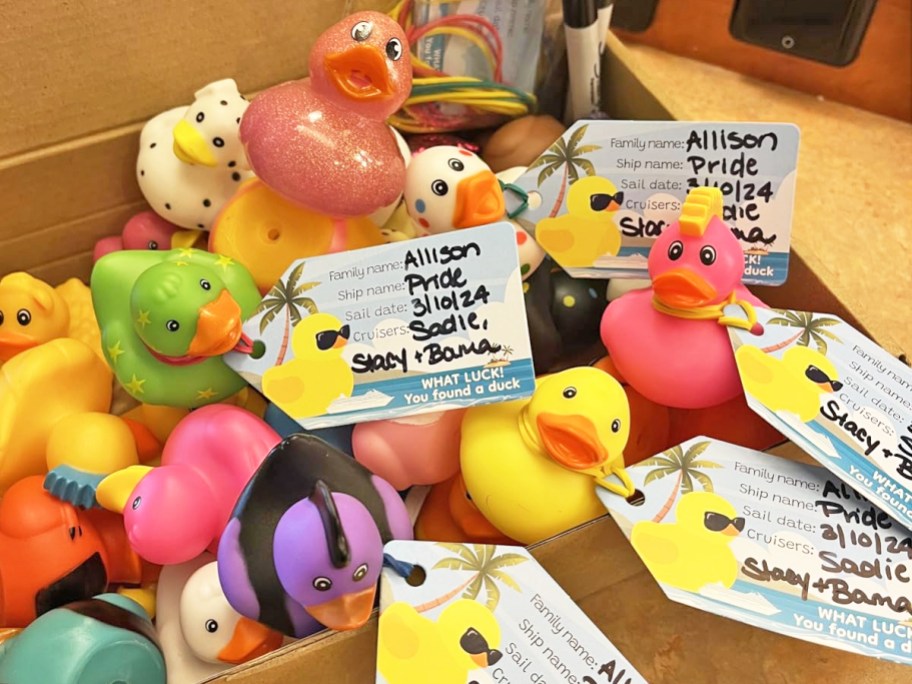 pile of rubber ducks with cruise tags