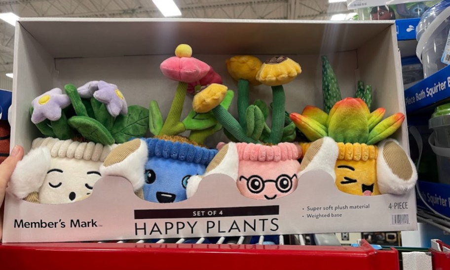 box with members mark happy plants plush toys on the shelf at sams club