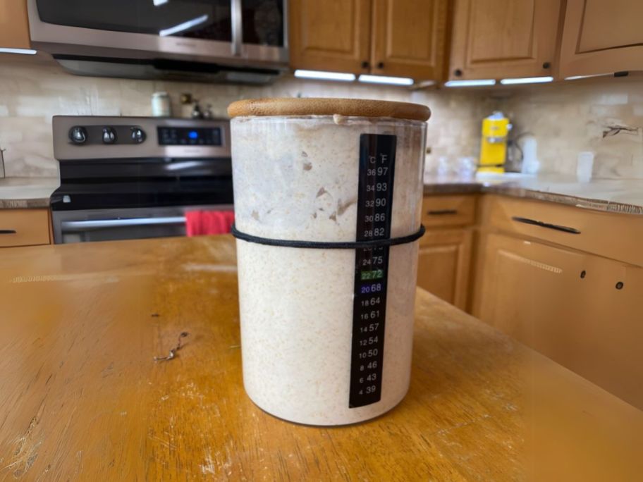 Kmise Sourdough Starter Jar Kit on table