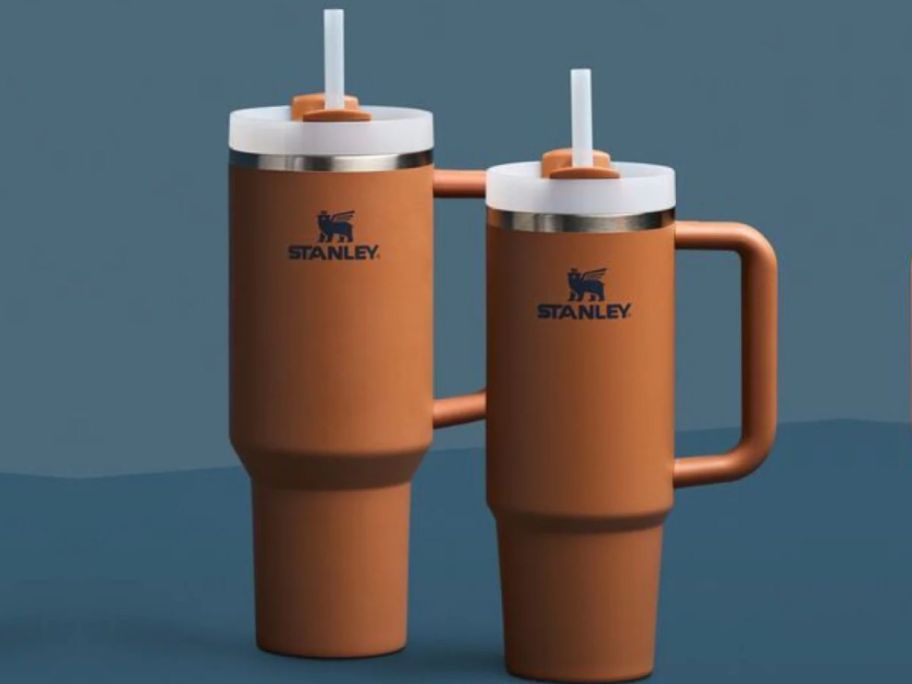 Two Stanley Tumblers in Toast Color