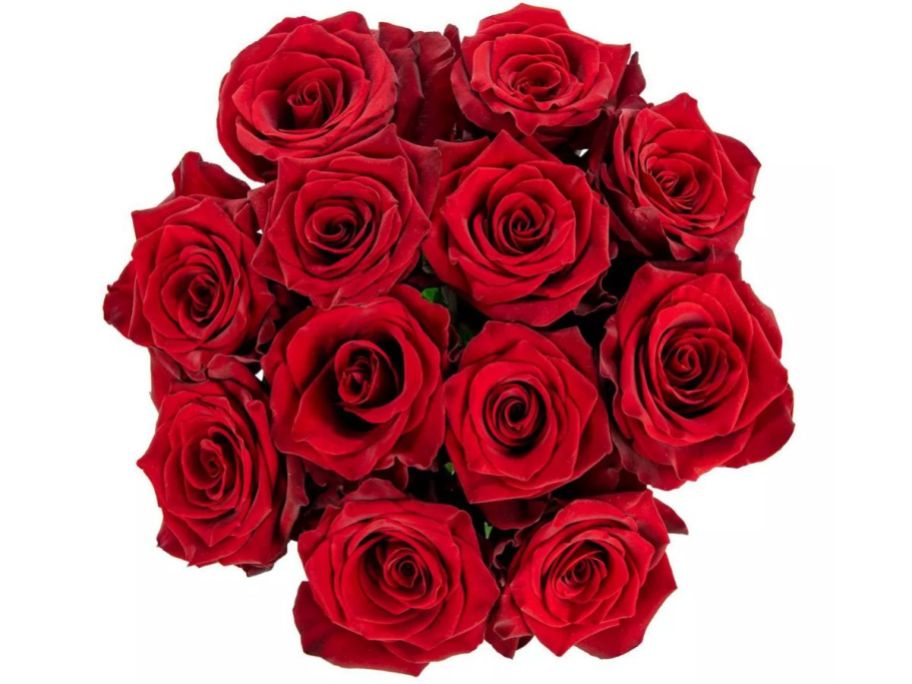 Live Valentine's Day Roses