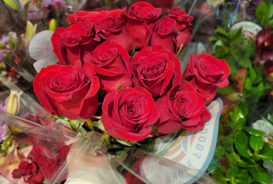 large dozen roses in red in hand