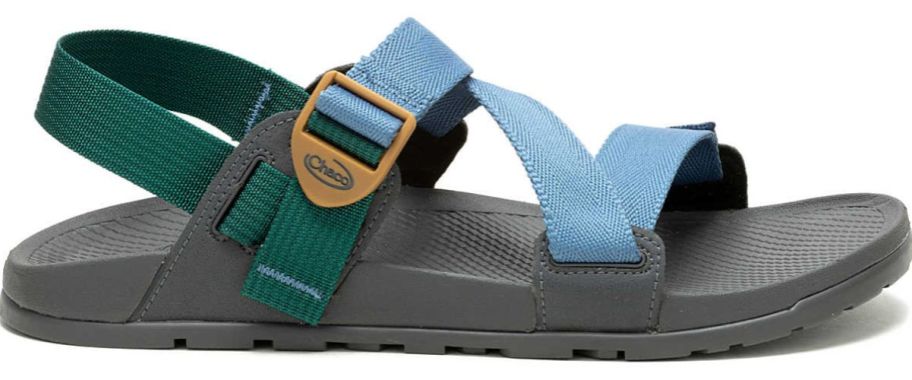 Chacos Men's Lowdown Sandal