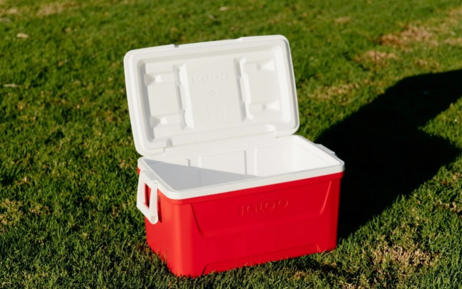 igloo 48 quart cooler sitting in the grass