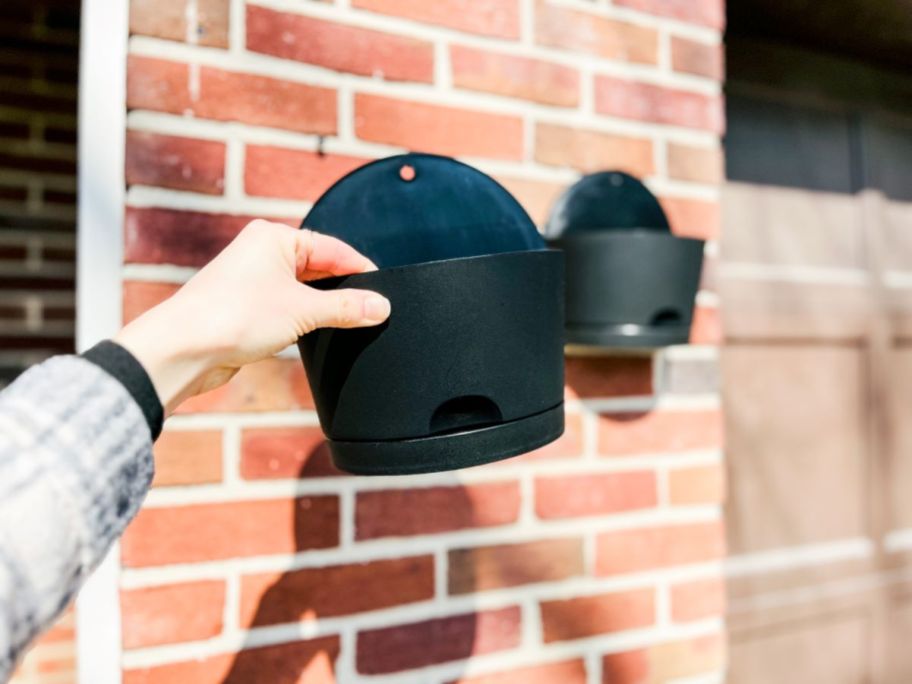 Hand holding a black planter next to a brick wall