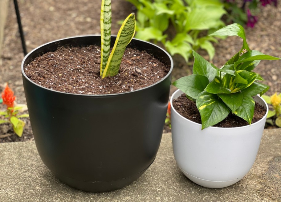 room essentials self watering planters at target