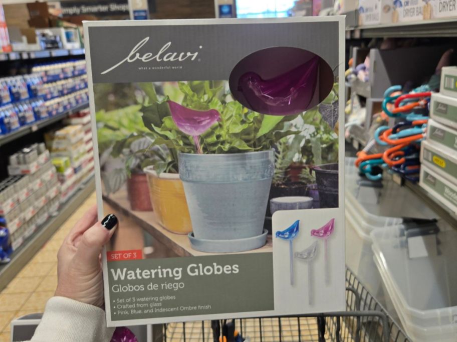 A person holding an Aldi Belavi Watering Globes