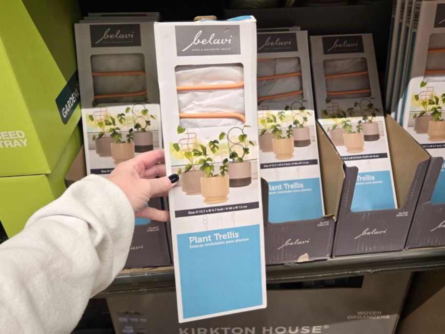 A person holding an Aldi Plant Trellis box 