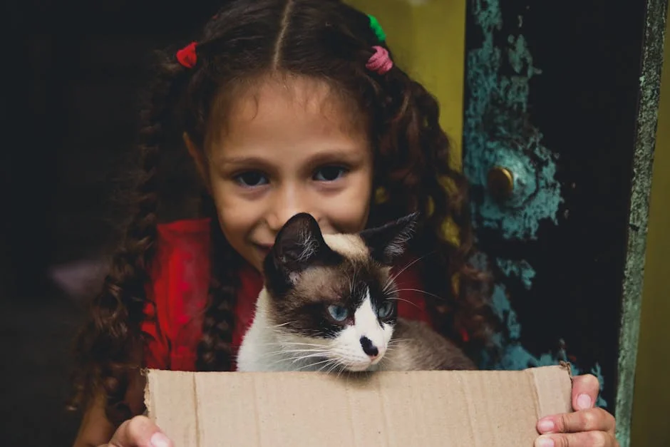 A joyful young girl with braids and a smiling face holding a box with a cat inside. - affordable subscription box deals for pet owners