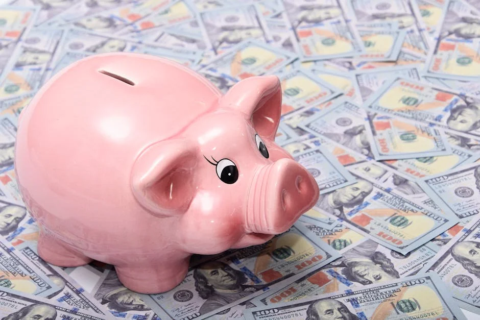 Pink ceramic piggy bank placed on a spread of US dollar bills symbolizing savings and financial security. - piggy bank money - How to use digital coupons at checkout for savings